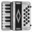 Accordion Piano Cassoto Game