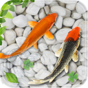 Fish Live Wallpaper Aquarium