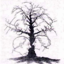 تست شخصیت شناسی نقاشی درخت