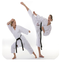 آموزش کامل کاراته ویژه