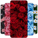 Flower Wallpaper HD – 4k