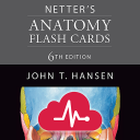 Netter's Anatomy Flash Cards