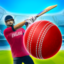 Cricket League