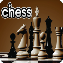 شطرنج حرفه ای