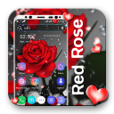 Red Rose Particle LWP