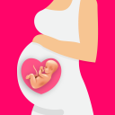 Pregnancy Calculator, Calendar