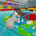 Kitten Cat Smash Super Market