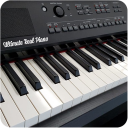 Real Piano-Piano Keyboard