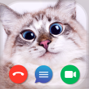 Cat Video Call & Chat Prank