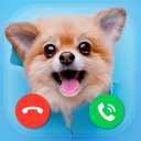 Dog Prank Call & Chat