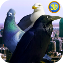 City Birds Simulator