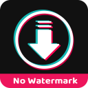 No Watermark Video Downloader