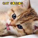 Cat Sounds