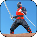 Ninja Warrior Assassin Hero