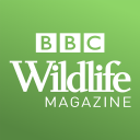 BBC Wildlife Magazine - Animal News, Facts & Photo