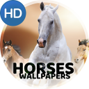 Wallpapers 4K with horses