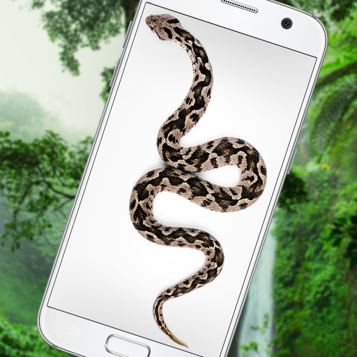 computer screen snake prank computer screen snake prank
