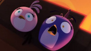 انیمیشن پرندگان خشمگین: ماجراهای استلا - فصل ۱ - قسمت ۱۳