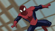 انیمیشن مرد عنکبوتی نهایی - فصل ۱ - قسمت ۱۶ - شیدایی سوسک