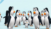 انیمیشن رنجر راب - فصل ۱ - قسمت ۳۸ - راهپیمایی پنگوئن ها در پارک آسمان بزرگ