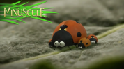 انیمیشن زندگی حشرات کوچولو - فصل ۱ - قسمت ۳