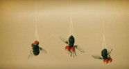 انیمیشن زندگی حشرات - فصل ۱ - قسمت ۵۳