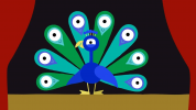 انیمیشن حیوانات کارتونی - فصل ۱ - قسمت ۱۷ - طاووس