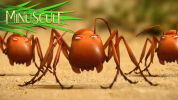 انیمیشن زندگی حشرات کوچولو - فصل ۱ - قسمت ۲۶
