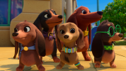 انیمیشن پرتزل و توله سگ ها - فصل ۱ - قسمت ۵ - خیلی خوش اومدی