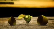انیمیشن زندگی حشرات - فصل ۱ - قسمت ۲۲