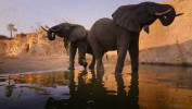 سریال پارک‌ های ملی عظیم ما - فصل ۱ - قسمت ۳ - تساوو، کنیا