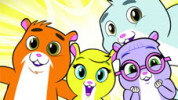 انیمیشن حیوانات خانگی زوزو - فصل ۱ - قسمت ۳۹ - توپ بازی در روز بارانی