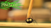 انیمیشن زندگی حشرات کوچولو - فصل ۱ - قسمت ۲۵