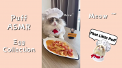 سریال پاف، گربه آشپز - فصل ۱ - قسمت ۱۴