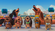 انیمیشن پرتزل و توله سگ ها - فصل ۱ - قسمت ۸ - سگ های آتش نشان برای نجات آمدن (قسمت آخر)