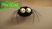 انیمیشن زندگی حشرات کوچولو - فصل ۱ - قسمت ۱۹