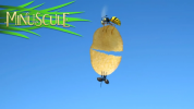 انیمیشن زندگی حشرات کوچولو - فصل ۱ - قسمت ۳۲