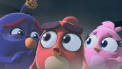 انیمیشن پرندگان خشمگین: دردسر حبابی - فصل ۱ - قسمت ۷ - پرندگان شجاع باشید!