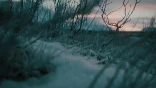 سریال انسان - فصل ۱ - قسمت ۳ - آخرین انسان‌ های زنده