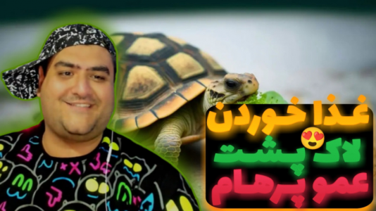 سریال ولاگ و چالش با پرهام گیم پلی - فصل ۱ - غذا خوردن و بازی کردن لاک پشت عمو پرهام