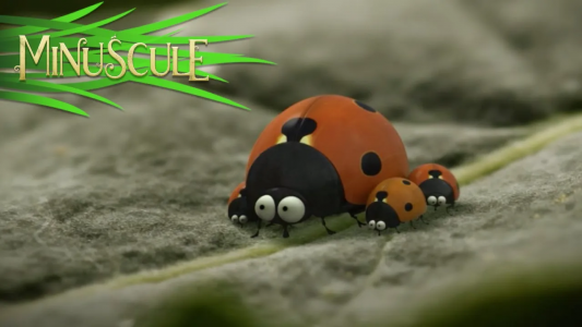 ۳-سکانسی از انیمیشن زندگی حشرات کوچولو