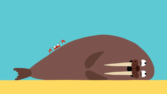 انیمیشن دوستان کارتونی - فصل ۱ - قسمت ۸