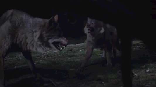 سریال افسانه ژنرال زن - فصل ۱ - قسمت ۴