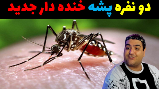  استریم باند پشه‌ها - پرهام گیم پلی - فصل ۱ - قسمت ۳