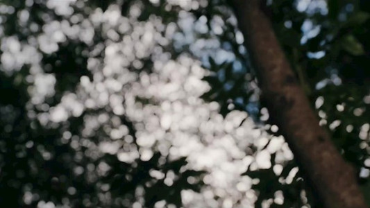 سریال پلاریباس - فصل ۱ - قسمت ۷ - شکاف