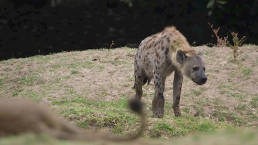 سریال پادشاهی - فصل ۱ - قسمت ۲ - عقب‌نشینی طوفان