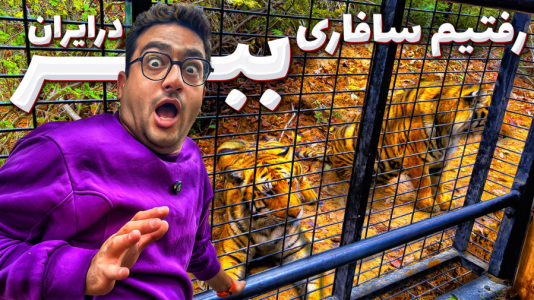 سریال ولاگ‌های خانواده ماچارتا ۲ - فصل ۱ - سافاری ببر تو ایران