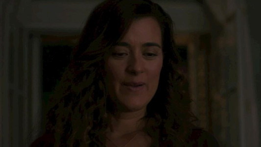 سریال ان سی آی اس: تونی و زیوا - فصل ۱ - قسمت ۴ - مهمانان ناخوانده عروسی