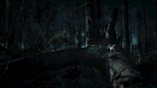 سریال کابوس‌ های طبیعت - فصل ۱ - قسمت ۱ - فرار از جنگل