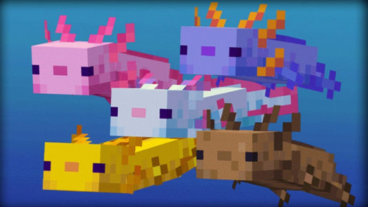  استریم ماینکرفت آموزشی ۱ - استوری مد - فصل ۱ - Axolotl ۲